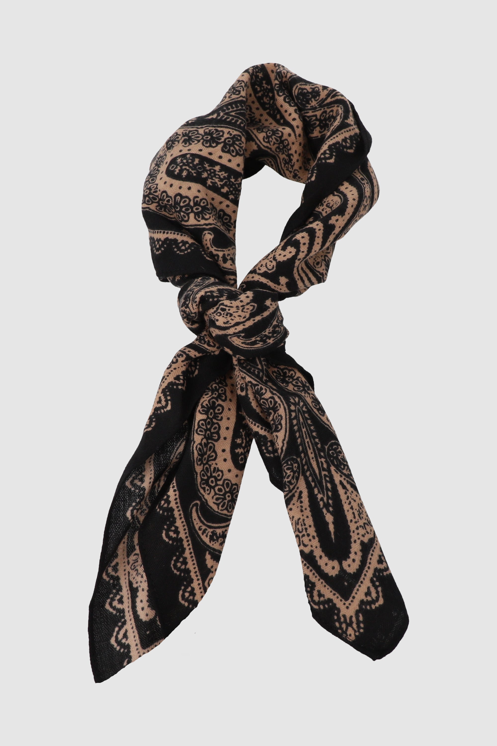 Pañuelo paisleys contorno NEGRO