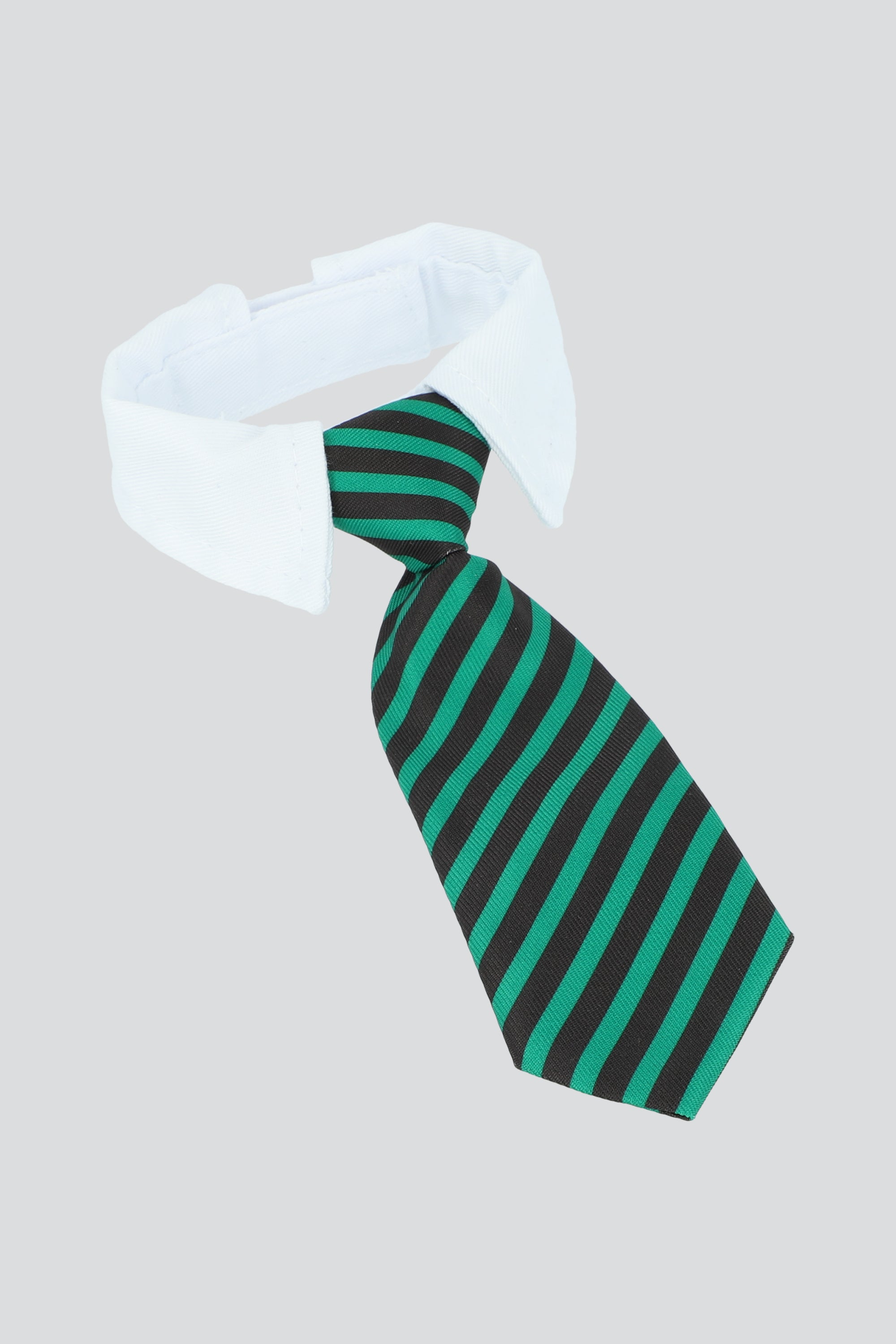 Collar mascota elegante 26cm VERDE