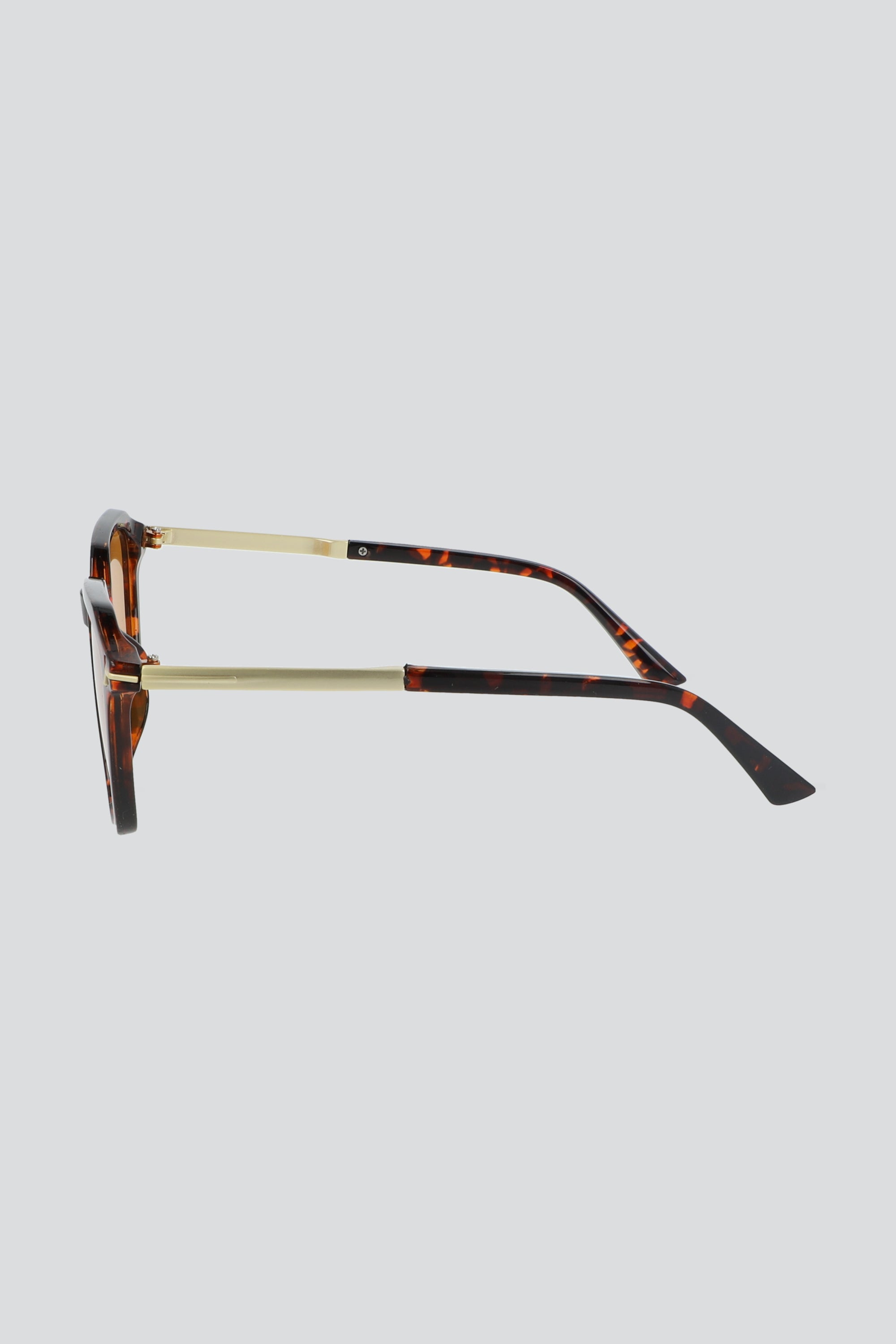 Lentes oversized chic CAFE