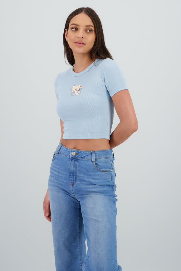 AZUL PASTEL