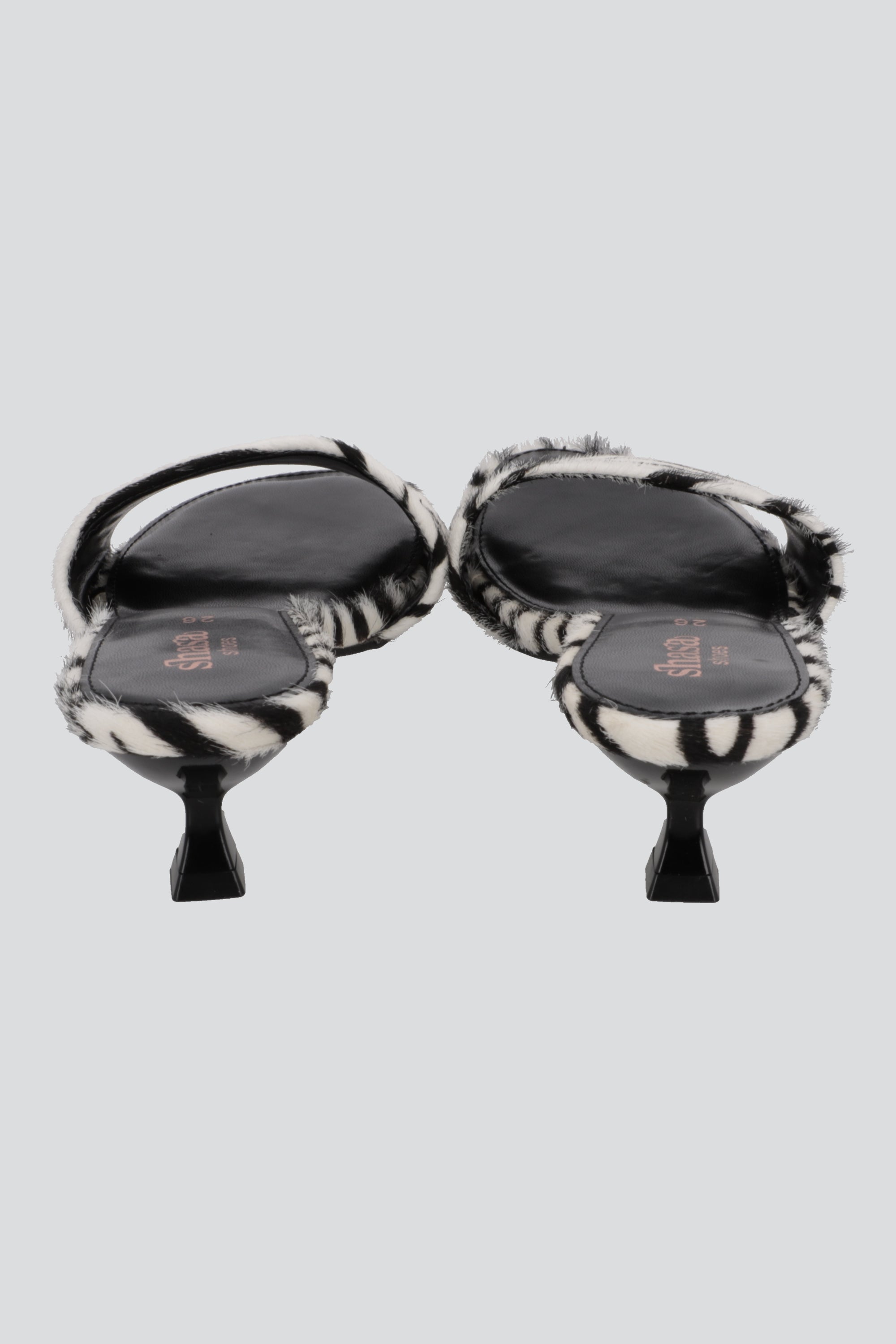 Tacon mula cebra NEGRO