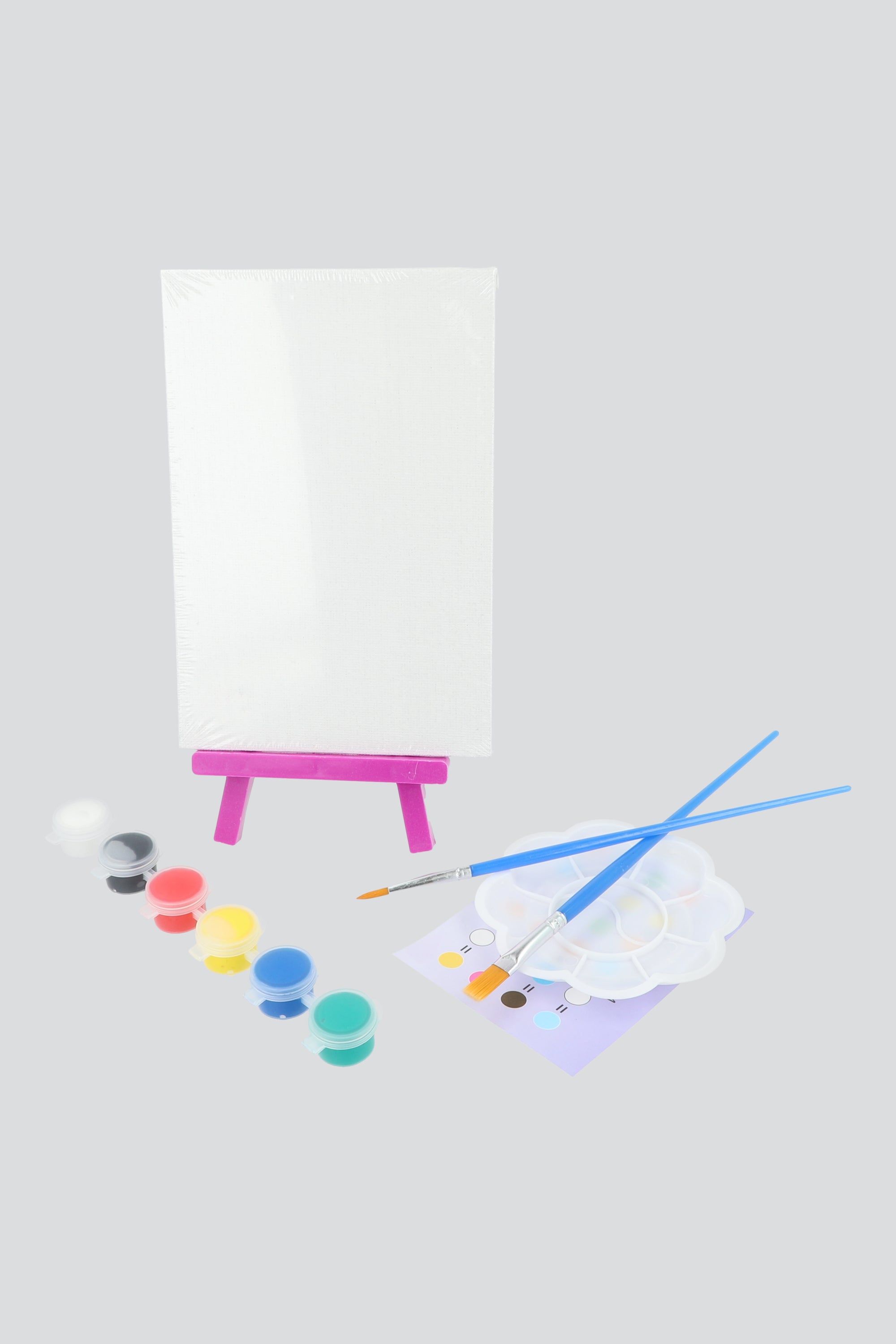 Set diy lienzo rectangular y pintura MULTICOLOR
