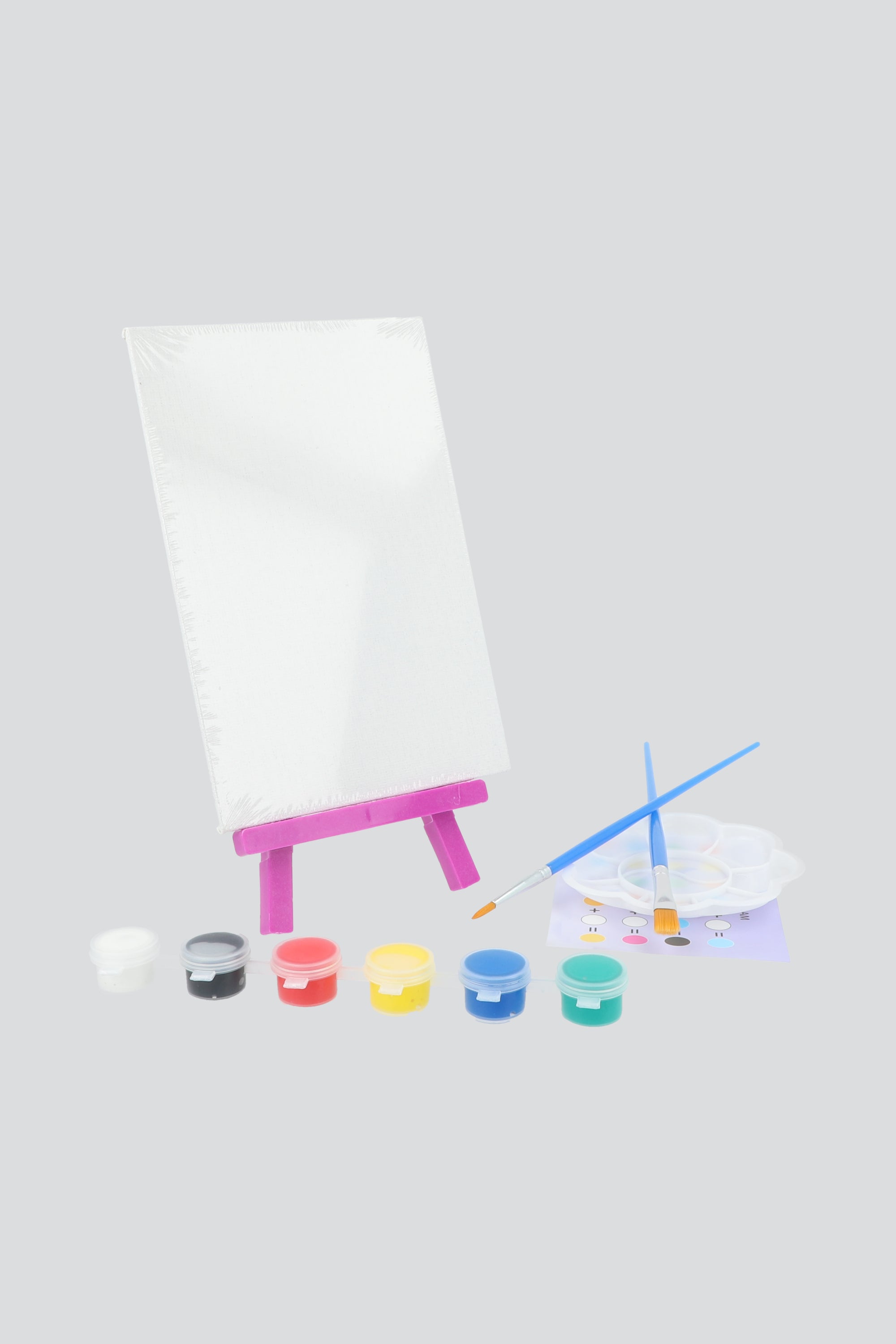 Set diy lienzo rectangular y pintura MULTICOLOR