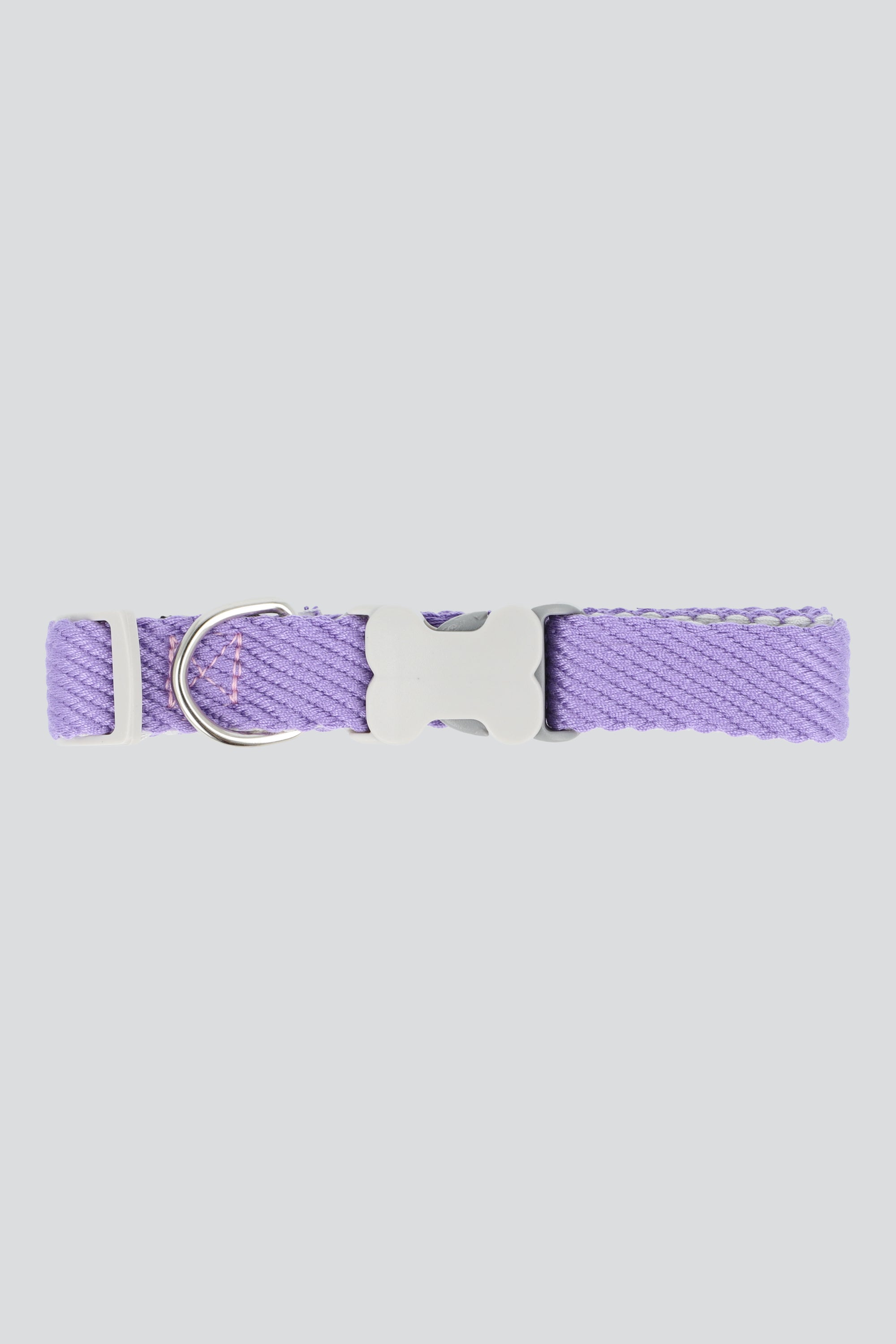 Collar mascota hebilla hueso MORADO