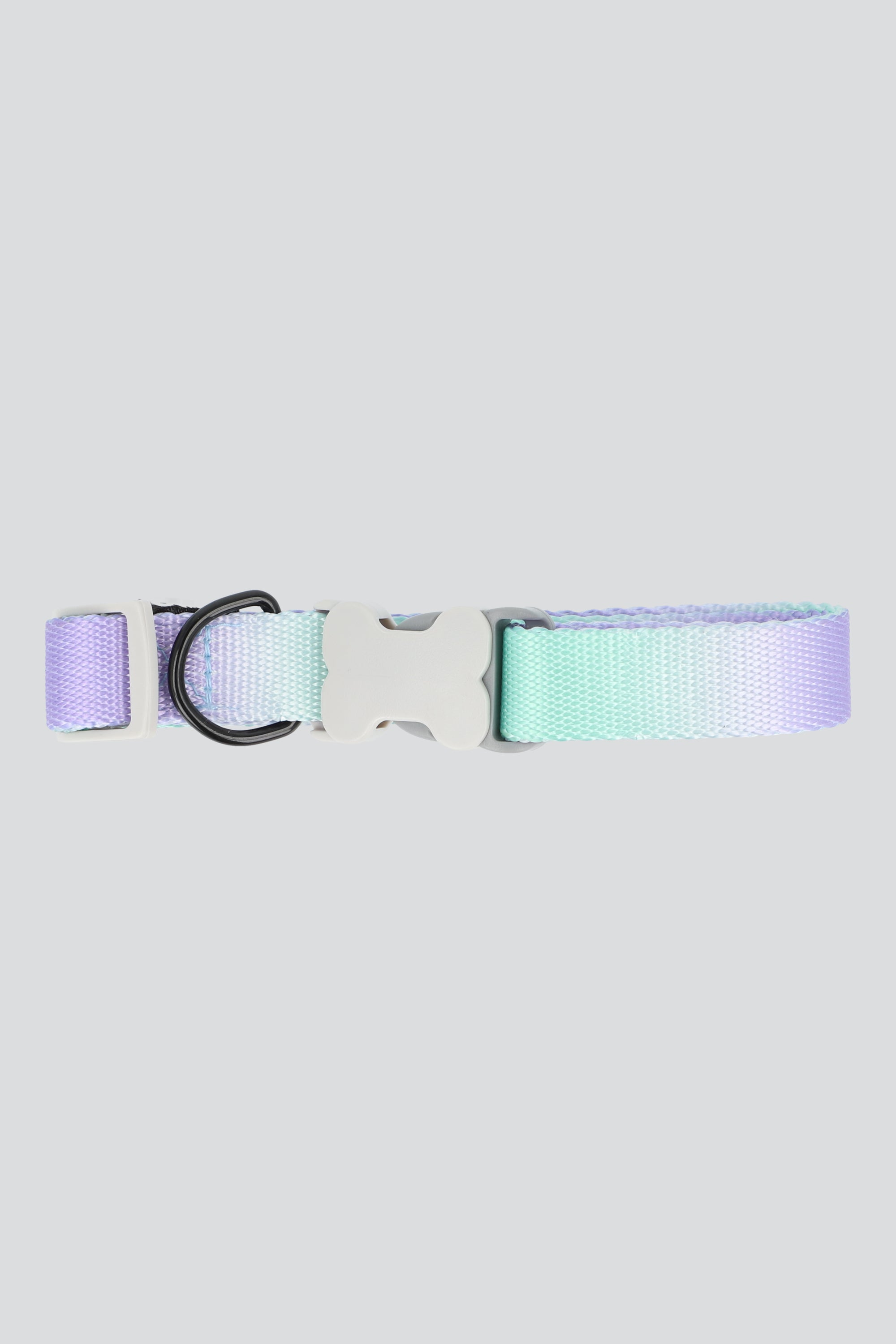 Collar mascota bicolor hueso MORADO