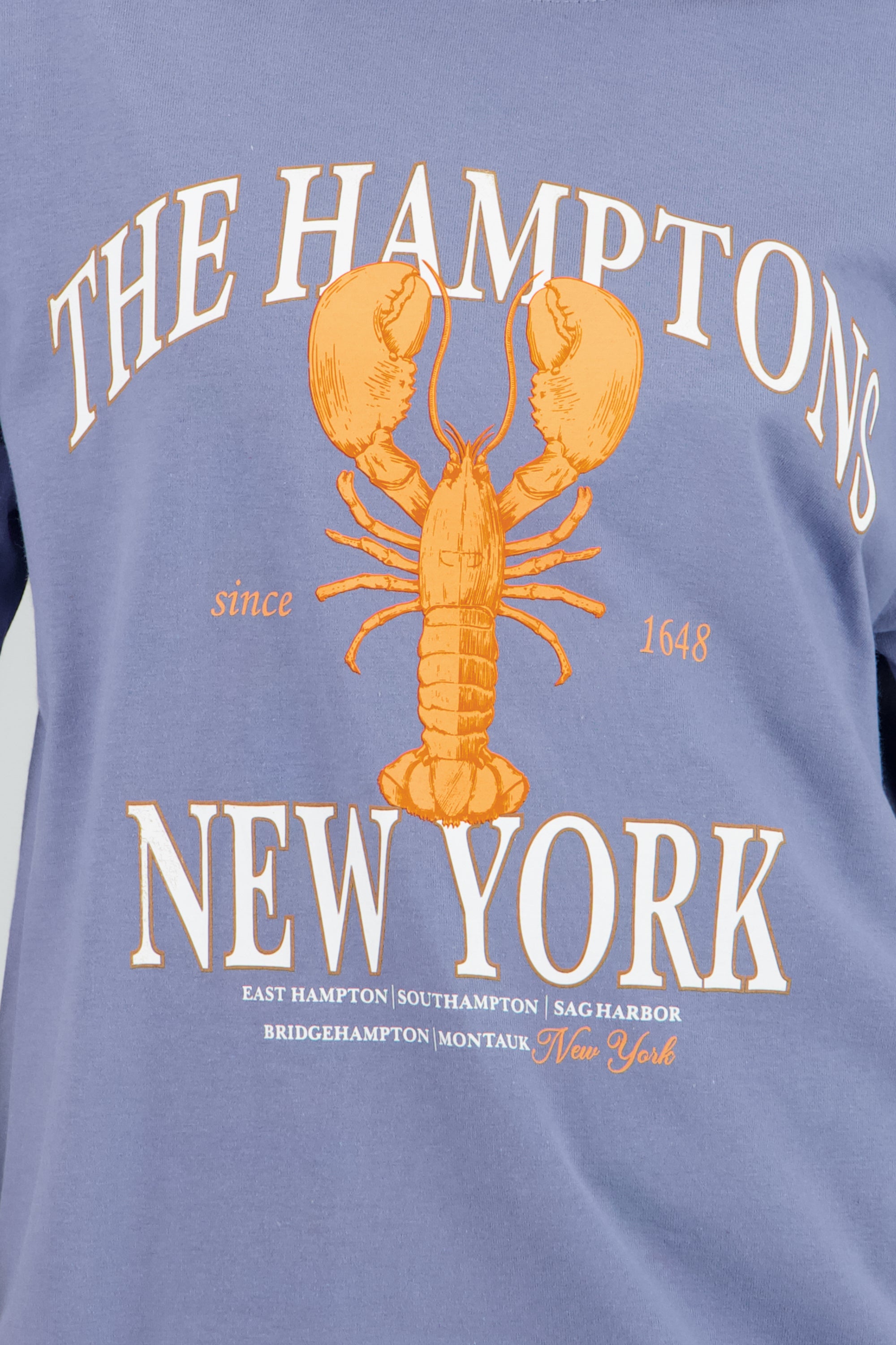 Playera estampado langosta new york AZUL