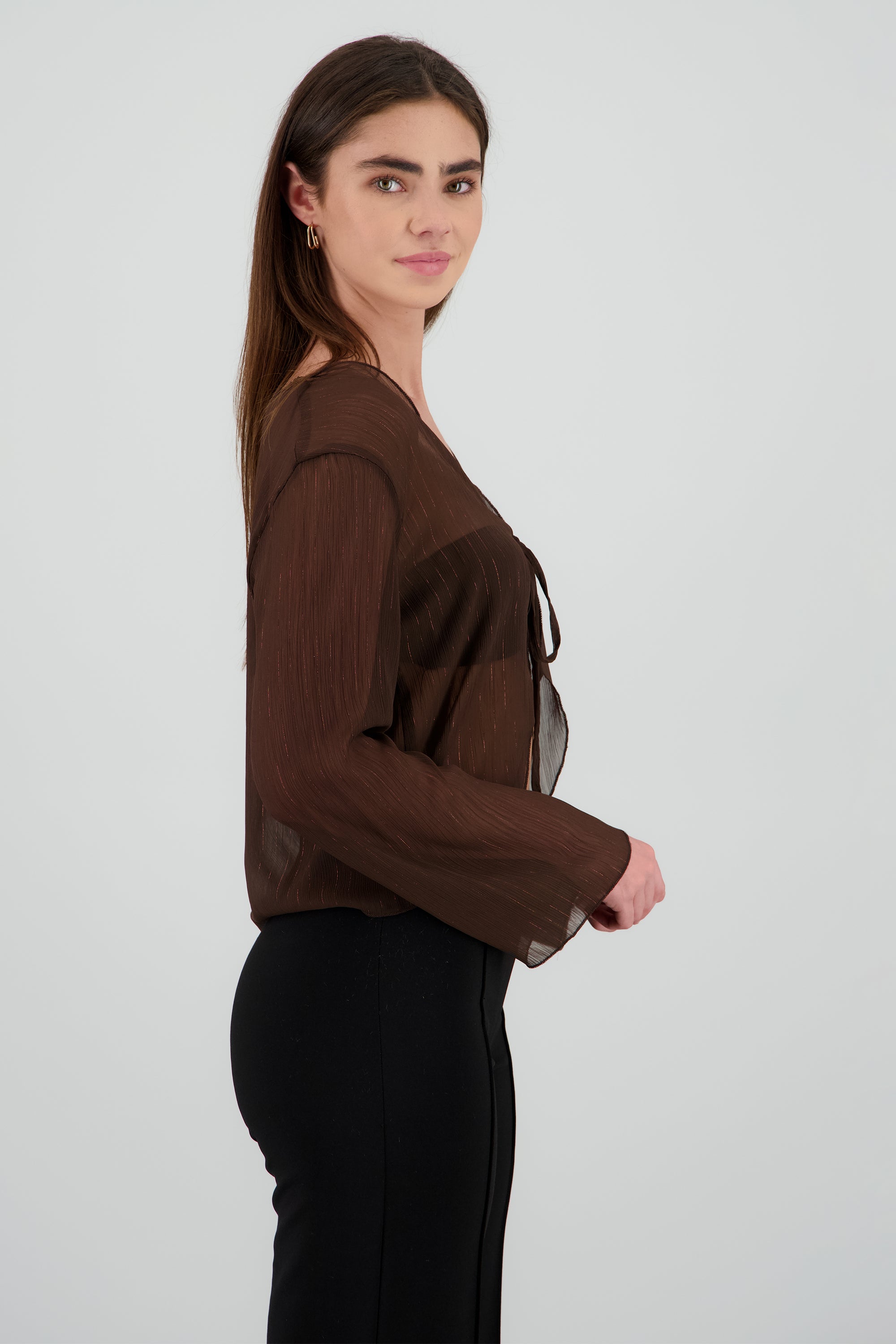 Blusa con transparencia detalle lurex CHOCOLATE